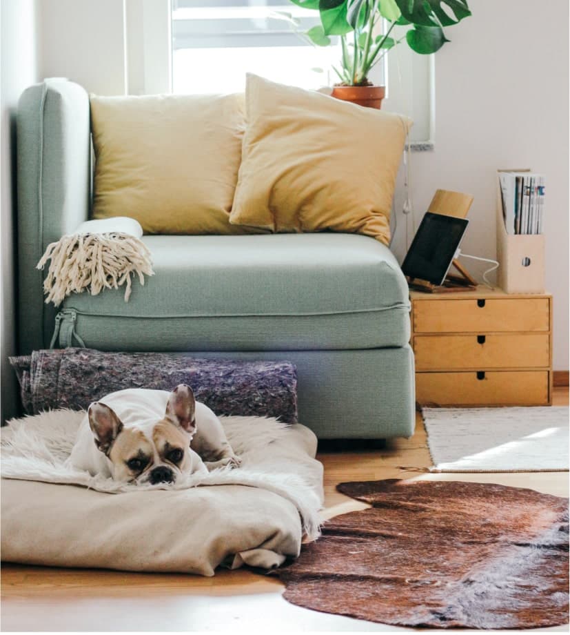 <span class=" font-extrabold">book</span>, your desired model from <span class=" font-extrabold">anywhere</span>